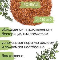 Рекомендации специалистов по использованию малинового чая при грудном вскармливании