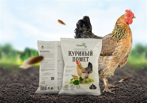 Ресурсоэффективность использования куриного помета
