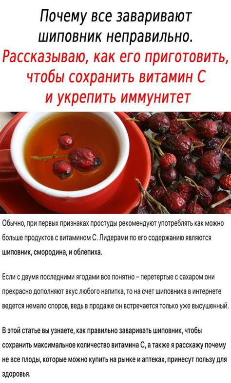 Риски употребления шиповника