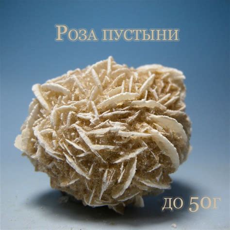Роза пустыни: условия содержания