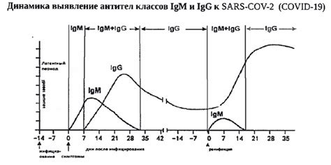 Роль бета в диагностике