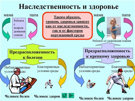 Роль визита к специалисту в обеспечении здоровья