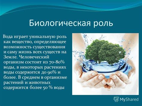Роль воды в образовании цветков