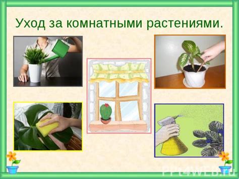 Роль в подготовке к обработке растений
