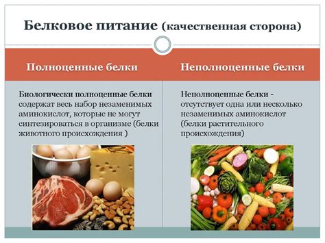 Роль в синтезе белков и углеводов