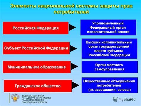 Роль государства в регулировании и защите прав потребителей в сфере бама