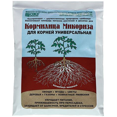 Роль дополнительного питания в стимуляции развития корневой системы