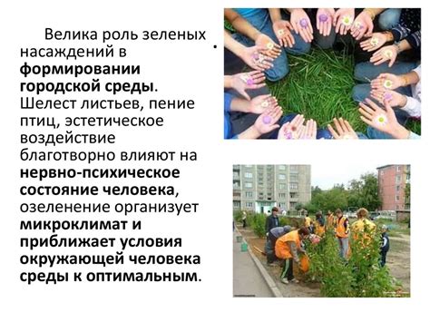 Роль зеленых насаждений в создании комфортного пространства