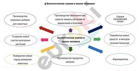 Роль знания в жизни