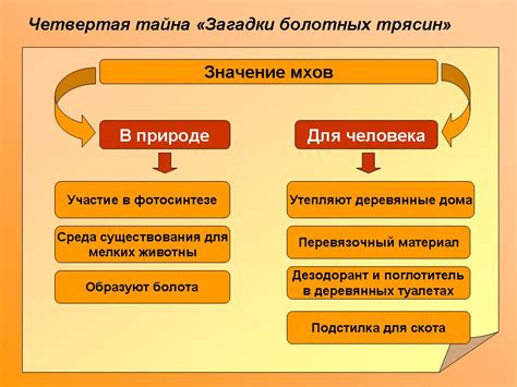 Роль испарения льда в природе: тайны и загадки