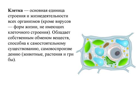Роль и значение основных компонентов в рецепте