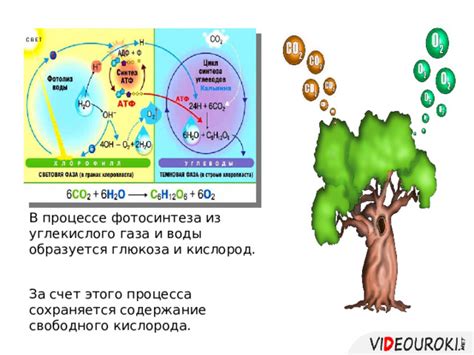 Роль кислорода в процессе