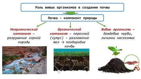 Роль организмов в создании наростов