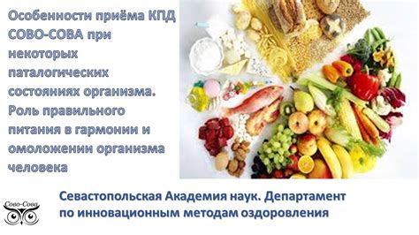 Роль питания и активности в гармонии организма
