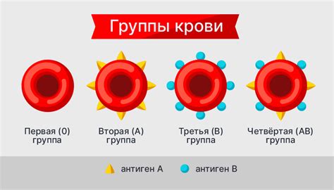 Роль понимания обществом в поиске доноров с четвёртой положительной группой крови