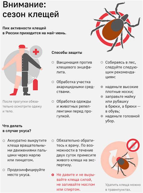 Роль профилактических прививок в борьбе с вирусом энцефалитного клеща