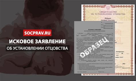 Роль психологической сходности при установлении отцовства