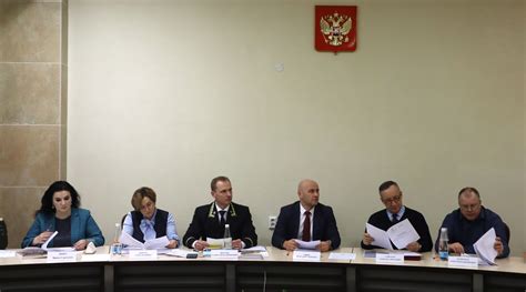 Роль ревизионной коллегии
