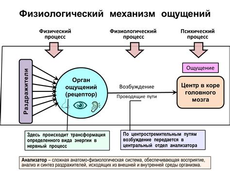 Роль сознания в формировании нашего окружающего мира