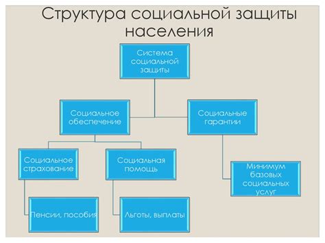 Роль социальной защиты в обеспечении основных потребностей населения