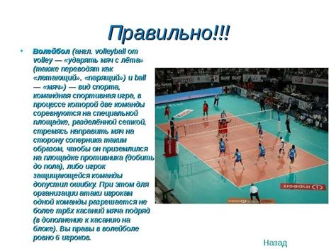 Роль тренера в развитии навыков либеро в волейбольной команде