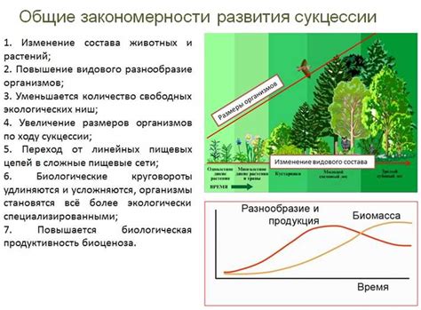 Роль трутовиков в экосистеме