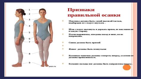 Роль физических упражнений в снижении вероятности образования газов у русалок
