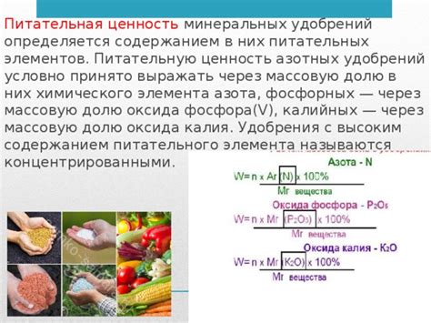 Роль элементов питательных удобрений