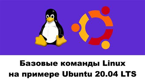 Руководство по настройке opentabletdriver для операционной системы Ubuntu