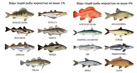 Рыба: жирные и нежирные сорта