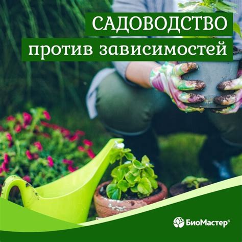 Садоводство и уход за растениями