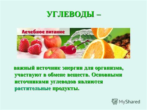 Сахар в кураге: источник энергии для организма