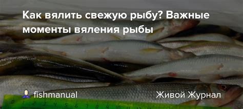 Сбалансированные природные методы защиты от насекомых при процессе вяления рыбы