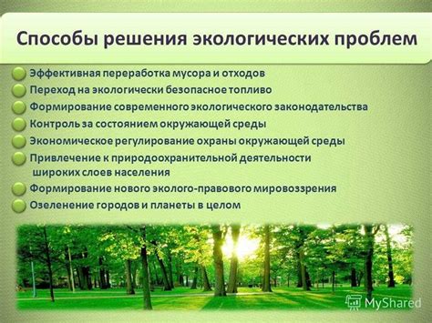 Сверчки как природный индикатор экологического баланса