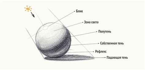 Свет и тень в мире кинематографа