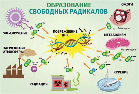 Свободные радикалы: общее понятие