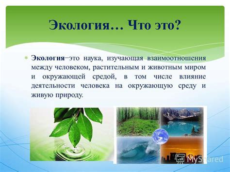 Связь бытия с существованием человека и окружающей средой
