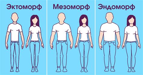 Связь между толщиной тела мужчины и его сексуальной активностью