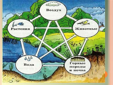 Связь с природой и символика имени "Дубровский"
