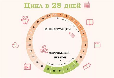 Сдача мазков в дни овуляции