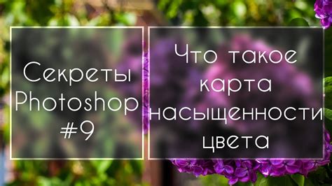 Секреты насыщенности цветов