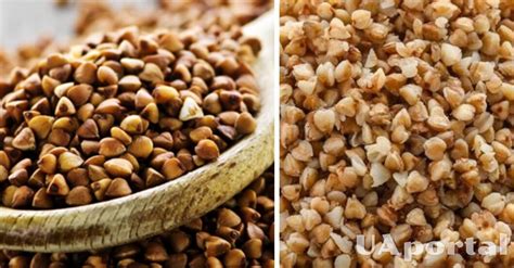 Секреты приготовления вкусной гречки на воде