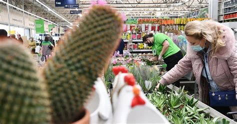 Секреты удачного зимнего ухода за бесценным растением: рекомендации опытных садоводов