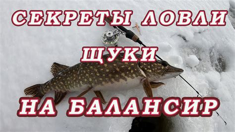 Секреты успешного лова щуки: выбор правильного снаряжения и стратегии