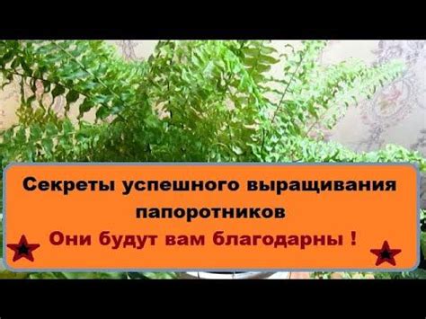 Секреты успешного применения тильды