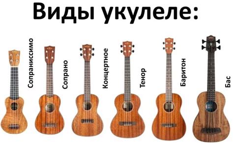 Секреты успешной настройки укулеле баритон при помощи тюнера: советы для новичков