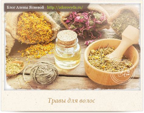 Секреты ухода за волосами удзумаки