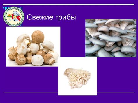 Секрет восхитительного блюда – грамотная обработка грибов
