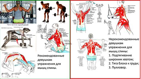 Силовые упражнения