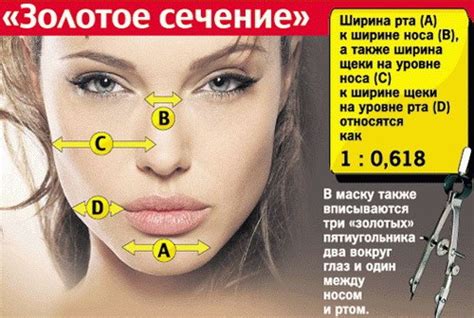 Силуэтные черты лица